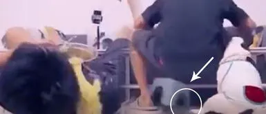 Perro empujó silla de su dueño, lo hace caer y lo deja sin almuerzo Perro empujó silla de su dueño, lo hace caer y lo deja sin almuerzo