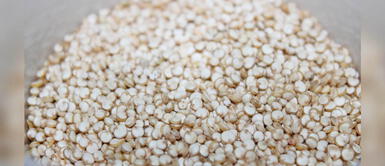 Beneficios de la quinua para llevar una alimentación saludable Beneficios de la quinua para llevar una alimentación saludable