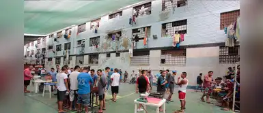 Frepap propone que presos trabajen en el campo para pagar reparación civil Frepap propone que presos trabajen en el campo para pagar reparación civil