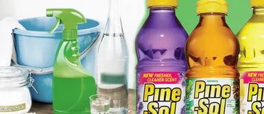 Pine-Sol es aprobado para eliminar la COVID-19 en superficies Pine-Sol es aprobado para eliminar la COVID-19 en superficies