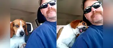 Perro agradece con tierno abrazo a hombre que lo rescató de ser sacrificado Perro agradece con tierno abrazo a hombre que lo rescató de ser sacrificado