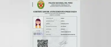 ¿Cómo tramitar antecedentes policiales? ¿Cómo tramitar antecedentes policiales?