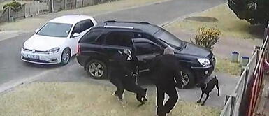 Perro frustra asalto y recibe un disparo por intentar salvar a su amo Perro frustra asalto y recibe un disparo por intentar salvar a su amo