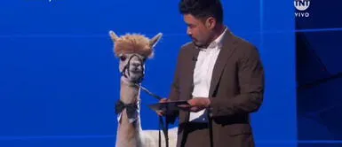 Emmy 2020: Randall Park llegó al escenario con una alpaca Emmy 2020: Randall Park llegó al escenario con una alpaca