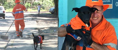 Perro rescatado por un barrendero lo acompaña al trabajo con su uniforme Perro rescatado por un barrendero lo acompaña al trabajo con su uniforme