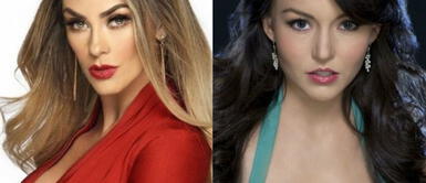 Aracely Arámbula revela que rechazó protagonizar Teresa por sus hijos Aracely Arámbula revela que rechazó protagonizar Teresa por sus hijos