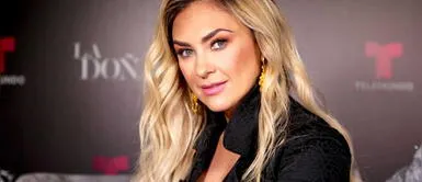 Aracely Arámbula y el día que "cuadró" a Luis Miguel por pensión alimenticia Aracely Arámbula y el día que "cuadró" a Luis Miguel por pensión alimenticia