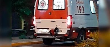 Perrita se cuelga a parachoque de ambulancia para estar junto a su dueño Perrita se cuelga a parachoque de ambulancia para estar junto a su dueño