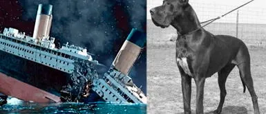Mujer prefirió perder la vida en el Titanic antes de dejar a su perro Mujer prefirió perder la vida en el Titanic antes de dejar a su perro