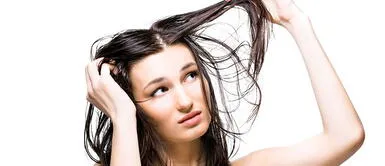 Aloe vera y eucalipto, el dúo que refresca hasta el cabello más graso Aloe vera y eucalipto, el dúo que refresca hasta el cabello más graso