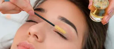 ¿Quieres alargar tus pestañas? 3 aceites para que crezcan más rápido ¿Quieres alargar tus pestañas? 3 aceites para que crezcan más rápido