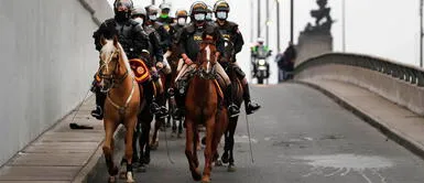 Prohíben el uso de caballos de la PNP en marchas y manifestaciones Prohíben el uso de caballos de la PNP en marchas y manifestaciones