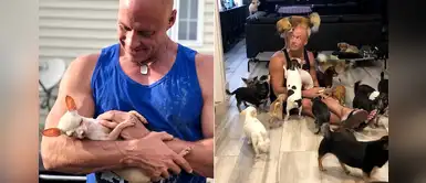 Ex fisicoculturista logró vencer la depresión adoptando a 50 chihuahuas Ex fisicoculturista logró vencer la depresión adoptando a 50 chihuahuas