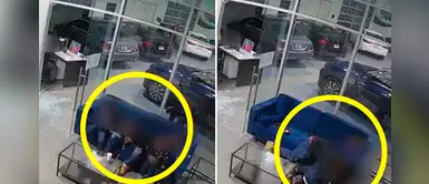 Padre protege a sus hijos durante tiroteo en tienda de automóviles Padre protege a sus hijos durante tiroteo en tienda de automóviles