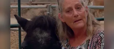 Mujer logró salvar a 24 caballos que iban a morir quemados en un rancho Mujer logró salvar a 24 caballos que iban a morir quemados en un rancho