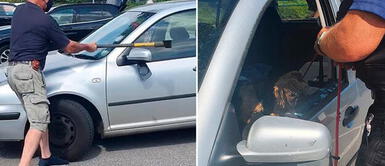 Hombre salva a perro de una muerte segura al interior de un auto Hombre salva a perro de una muerte segura al interior de un auto