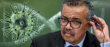 Director de la OMS revela cómo se generó el nuevo coronavirus Director de la OMS revela cómo se generó el nuevo coronavirus