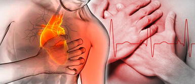 ¿Qué alimentos ayudan a mejorar el funcionamiento del corazón? ¿Qué alimentos ayudan a mejorar el funcionamiento del corazón?