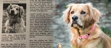 Honró la memoria de su perro fallecido con un tierno obituario Honró la memoria de su perro fallecido con un tierno obituario