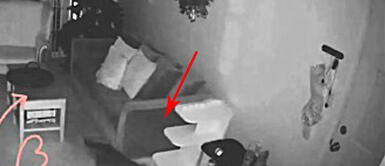 Mujer sorprende inusual comportamiento de su gato y promete nunca más dejarlo solo Mujer sorprende inusual comportamiento de su gato y promete nunca más dejarlo solo