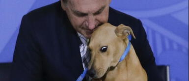 Jair Bolsonaro hizo "firmar" a un perro tras promulgar ley contra el maltrato animal Jair Bolsonaro hizo "firmar" a un perro tras promulgar ley contra el maltrato animal