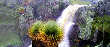 ¡Atención! Conoce el protocolo sanitario para destinos turísticos del Perú ¡Atención! Conoce el protocolo sanitario para destinos turísticos del Perú