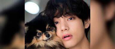 Más de 20 nombres divertidos para perritos en coreano con significado Más de 20 nombres divertidos para perritos en coreano con significado