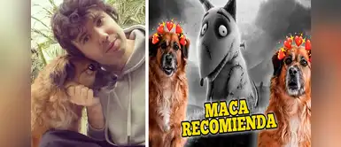 Maca, la conductora de ‘Cinescape’ recomienda películas de mascotas Maca, la conductora de ‘Cinescape’ recomienda películas de mascotas