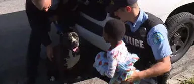 Pitbull sin hogar protege a niño perdido hasta la llegada de la policía Pitbull sin hogar protege a niño perdido hasta la llegada de la policía