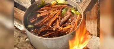 Un componente del Ayahuasca promueve la formación de nuevas neuronas Un componente del Ayahuasca promueve la formación de nuevas neuronas