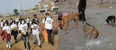 Rescatistas se unen para brindar alimentos a perros sin hogar en VES Rescatistas se unen para brindar alimentos a perros sin hogar en VES