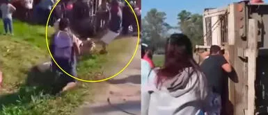 Argentina: Vecinos roban cerdos y los arrastran tras vuelco de camión Argentina: Vecinos roban cerdos y los arrastran tras vuelco de camión