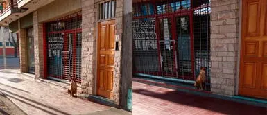 Argentina: Perrita espera a su dueña fallecida durante 20 días Argentina: Perrita espera a su dueña fallecida durante 20 días