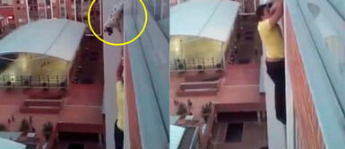 Hombre arriesga su vida para salvar a perro que casi cae de edificio Hombre arriesga su vida para salvar a perro que casi cae de edificio