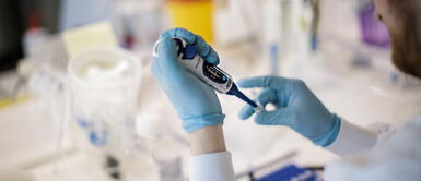 Coronavirus: Pfizer entregará 1 millón de vacunas al mes desde enero Coronavirus: Pfizer entregará 1 millón de vacunas al mes desde enero