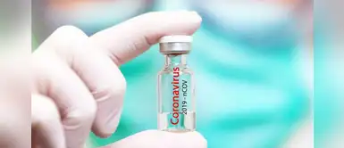 Pfizer entregará 1 millón de vacunas anticovid al mes a partir de enero Pfizer entregará 1 millón de vacunas anticovid al mes a partir de enero