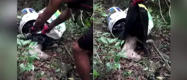 Ciclistas socorren a perro "muy maltratado" que abandonaron en el bosque Ciclistas socorren a perro "muy maltratado" que abandonaron en el bosque