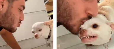 TikTok: Perro se estresa con su dueño por grabar constantes videos TikTok: Perro se estresa con su dueño por grabar constantes videos