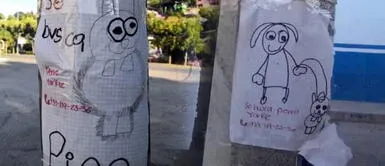 Niña pega carteles dibujados a mano para encontrar a su perro Niña pega carteles dibujados a mano para encontrar a su perro
