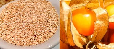 ¿Qué alimentos son ricos en hierro para prevenir la anemia? ¿Qué alimentos son ricos en hierro para prevenir la anemia?