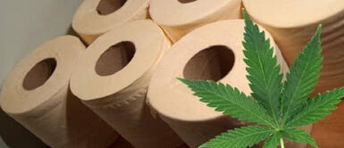 El papel higiénico de cáñamo, una alternativa para evitar la tala de millones de árboles El papel higiénico de cáñamo, una alternativa para evitar la tala de millones de árboles