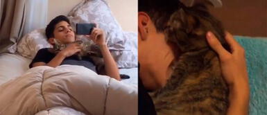 Gatita se enamora del enamorado de su dueña y lo llena de 'besos' Gatita se enamora del enamorado de su dueña y lo llena de 'besos'