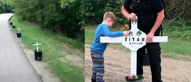 Realizan homenaje a perros abandonados en bolsas con 400 cruces en EE.UU. Realizan homenaje a perros abandonados en bolsas con 400 cruces en EE.UU.