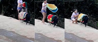 Mujer encuentra a perra ayudando a su hija con los quehaceres de la casa Mujer encuentra a perra ayudando a su hija con los quehaceres de la casa