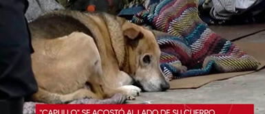 Perro cuidó por horas el cuerpo de un indigente que falleció en la calle Perro cuidó por horas el cuerpo de un indigente que falleció en la calle