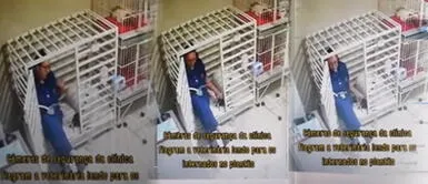 Cámaras de seguridad captan a veterinaria leyéndole un cuento a un perro Cámaras de seguridad captan a veterinaria leyéndole un cuento a un perro
