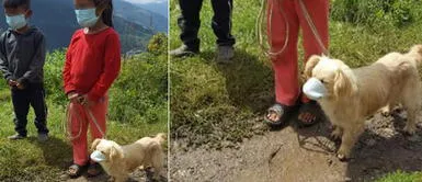 Niños llevan a vacunar a perrito con mascarilla y fotos son virales Niños llevan a vacunar a perrito con mascarilla y fotos son virales
