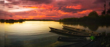 Turismo: Ucayali te invita a disfrutar de estos encantadores destinos Turismo: Ucayali te invita a disfrutar de estos encantadores destinos