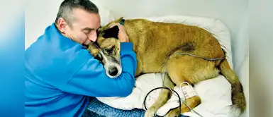 Hombre se metió a su casa en llamas para rescatar a su perro: "No lo dejaría" Hombre se metió a su casa en llamas para rescatar a su perro: "No lo dejaría"