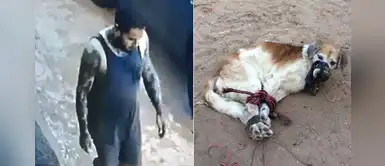 Hombre fue detenido en Paraguay por amordazar y abandonar a un perro Hombre fue detenido en Paraguay por amordazar y abandonar a un perro